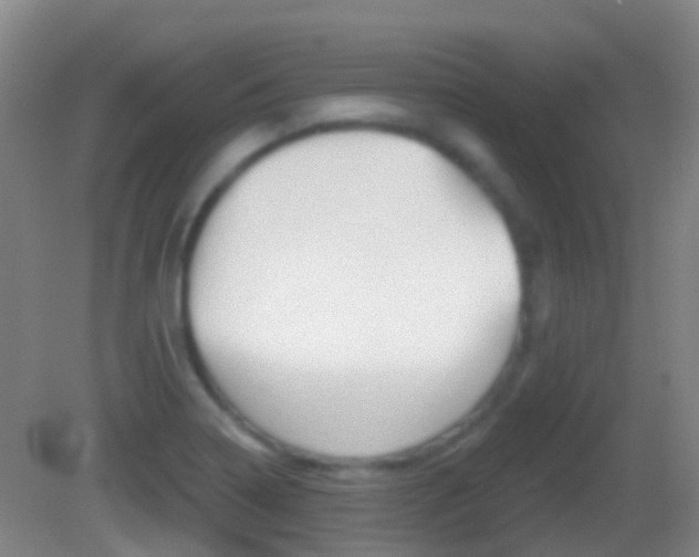 X0000083051322200702021000