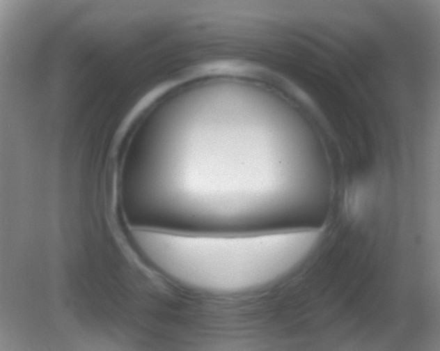 X0000083051323200702021000