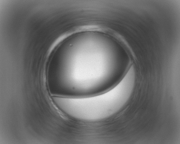 X0000083051328200702021000