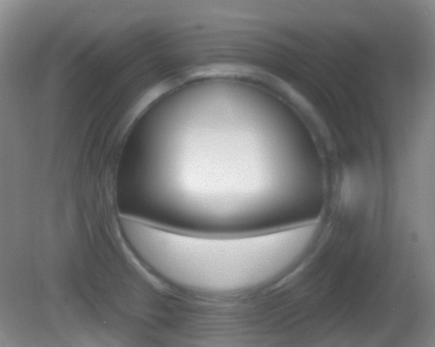 X0000083051329200702021000