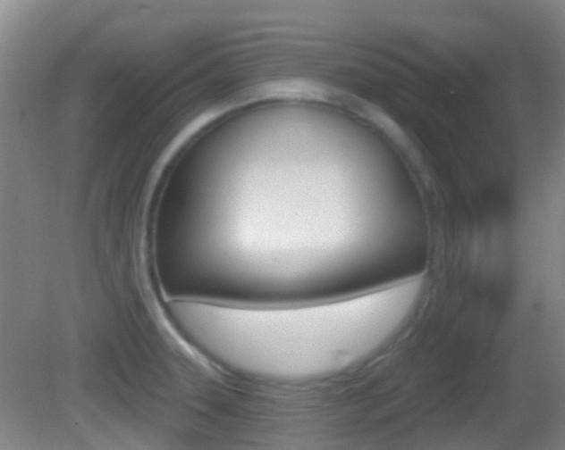 X0000083051331200702021000
