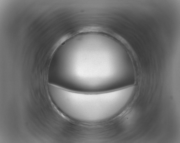 X0000083051337200702021000