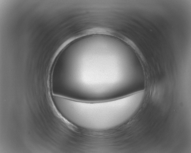 X0000083051339200702021000
