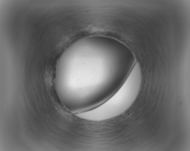 X0000083051348200702020959