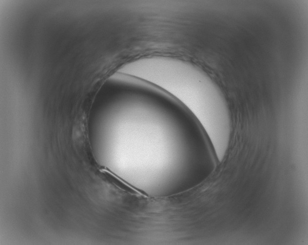 X0000083051349200702020959
