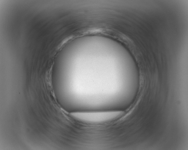 X0000083051353200702020959