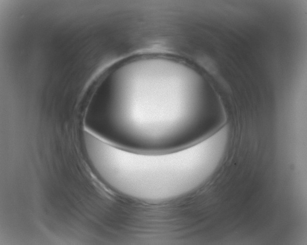 X0000083051356200702020959