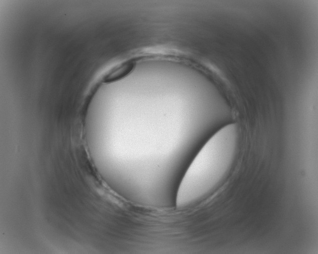 X0000083051358200702020959