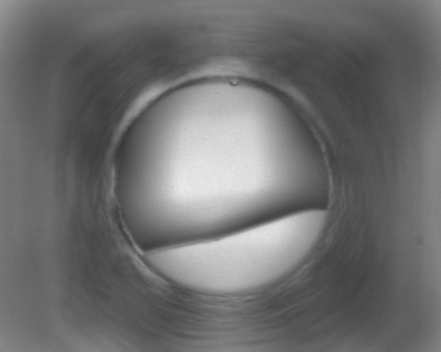 X0000083051366200702020959
