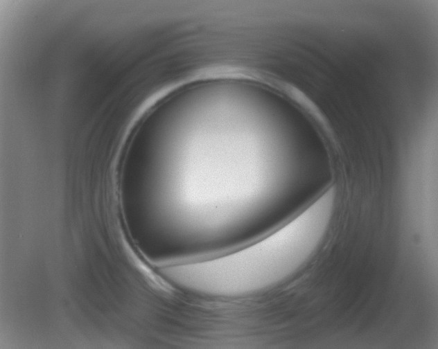 X0000083051380200702020959