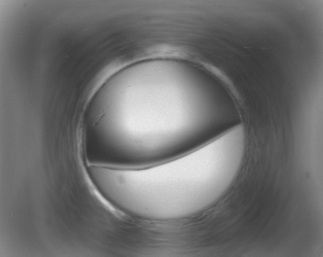 X0000083051383200702020959