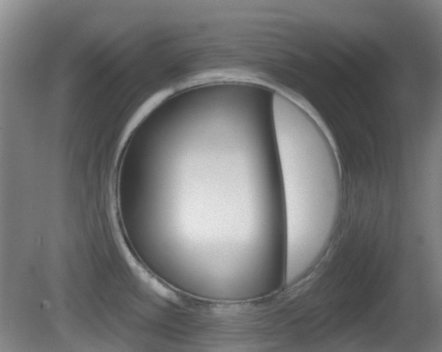 X0000083051389200702020959