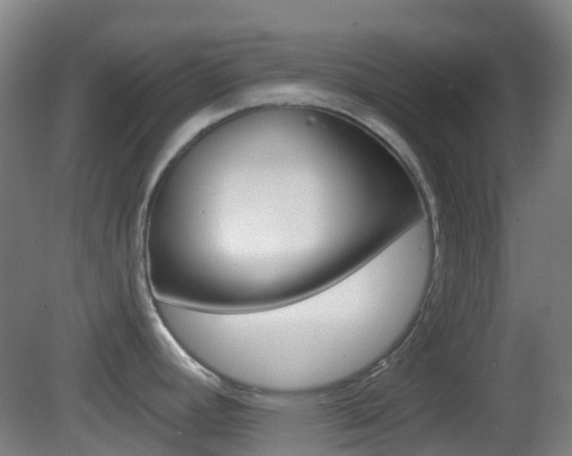 X0000083051392200702020959