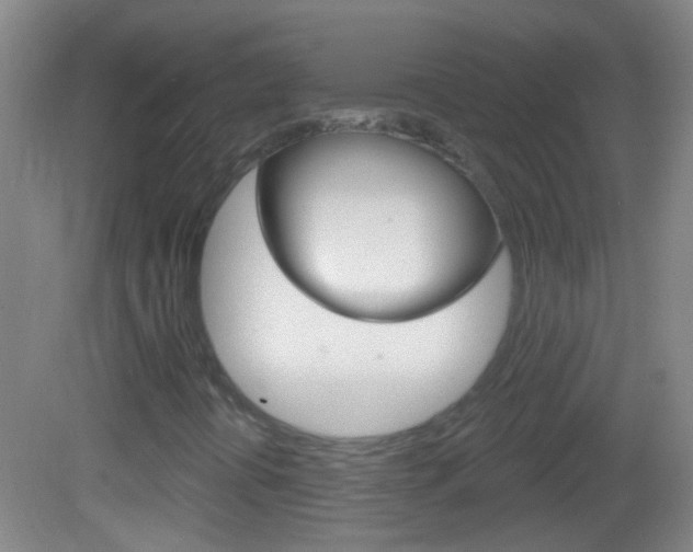 X0000083051394200702020958