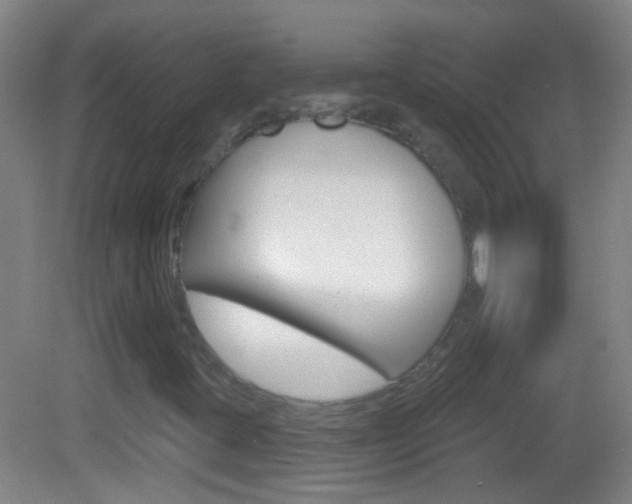 X0000083051395200702020958