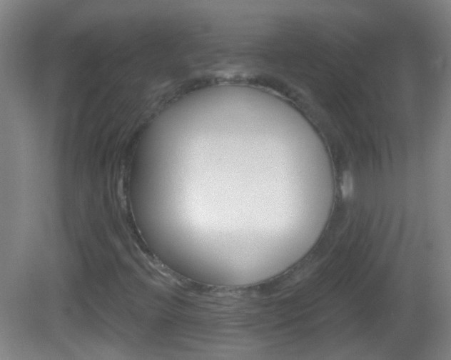 X0000083051396200702020958