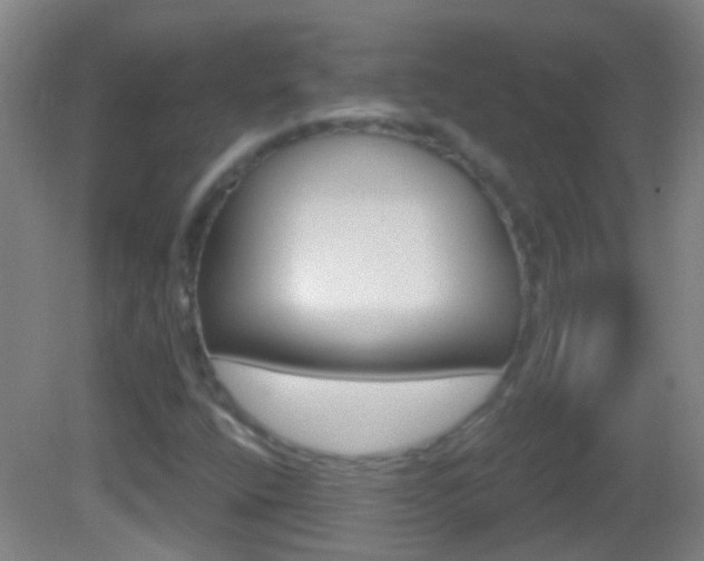 X0000083051400200702020958