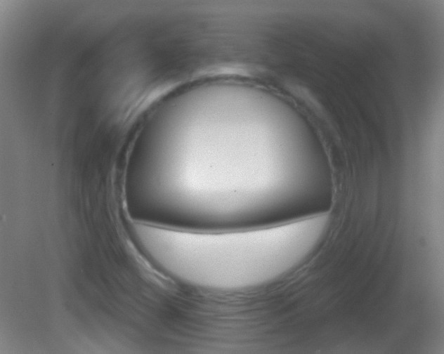 X0000083051404200702020958