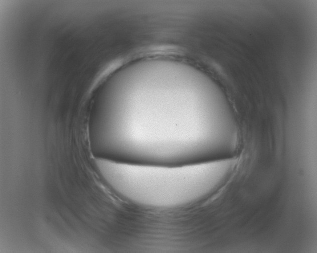 X0000083051405200702020958