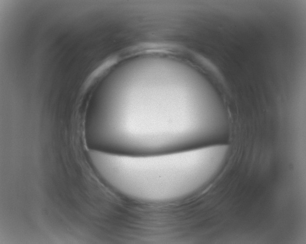 X0000083051411200702020958