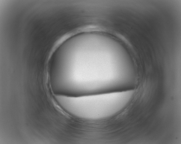 X0000083051413200702020958