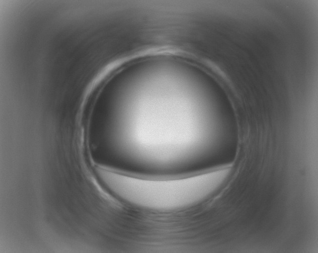 X0000083051414200702020958
