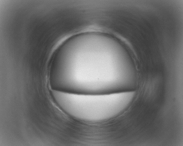X0000083051415200702020958