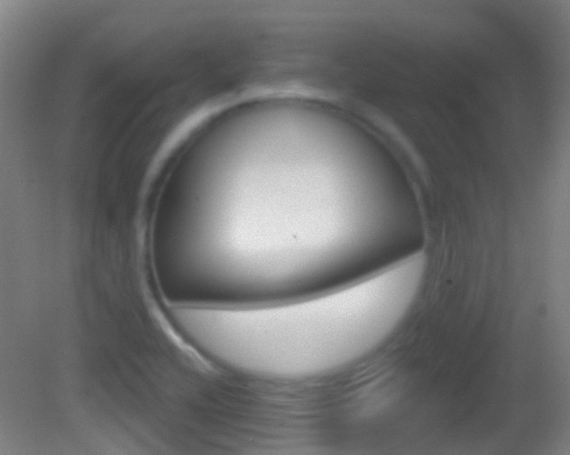 X0000083051416200702020958