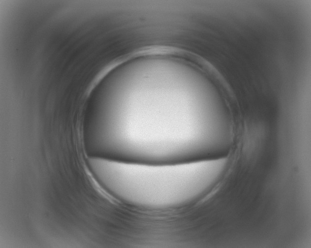 X0000083051417200702020958