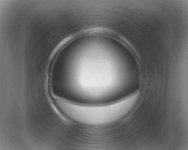 X0000083051418200702020958