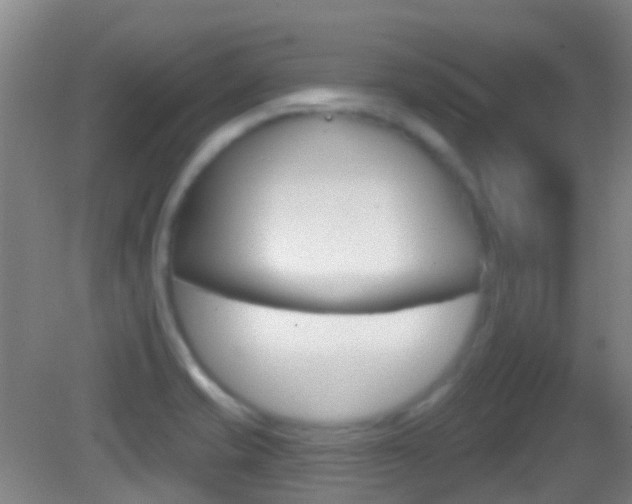 X0000083051421200702020958