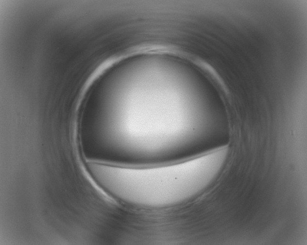 X0000083051424200702020958