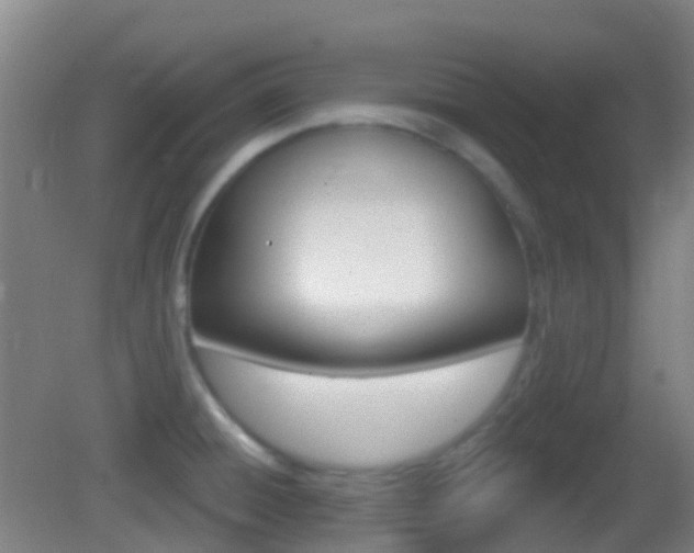 X0000083051428200702020958