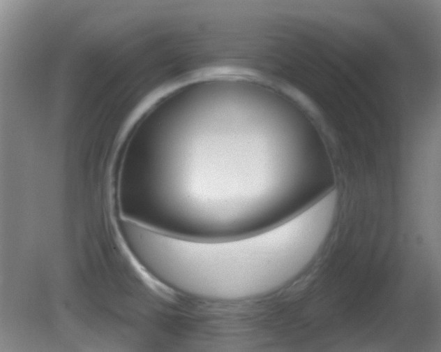 X0000083051430200702020958