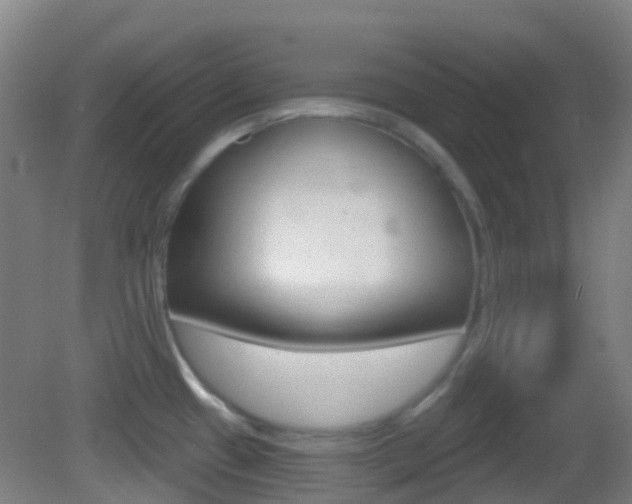 X0000083051433200702020959