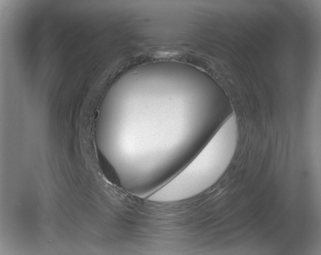X0000083051441200702020958