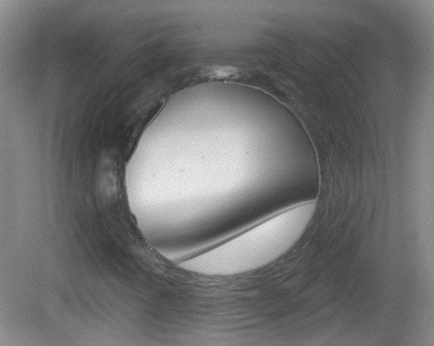 X0000083051442200702020958