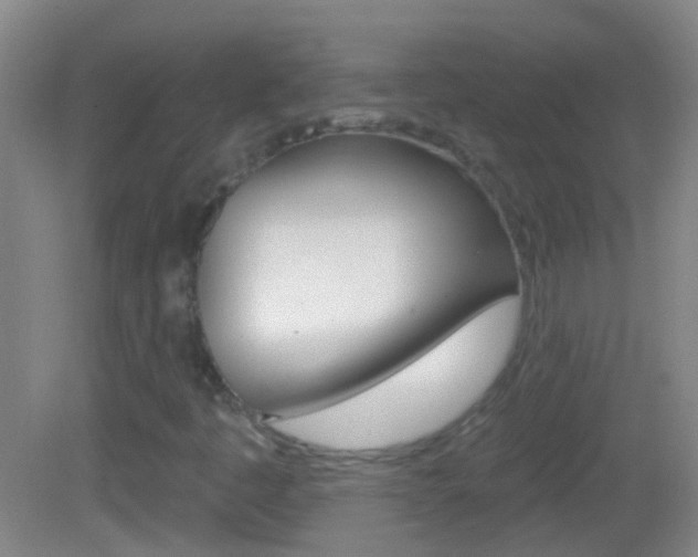 X0000083051445200702020958