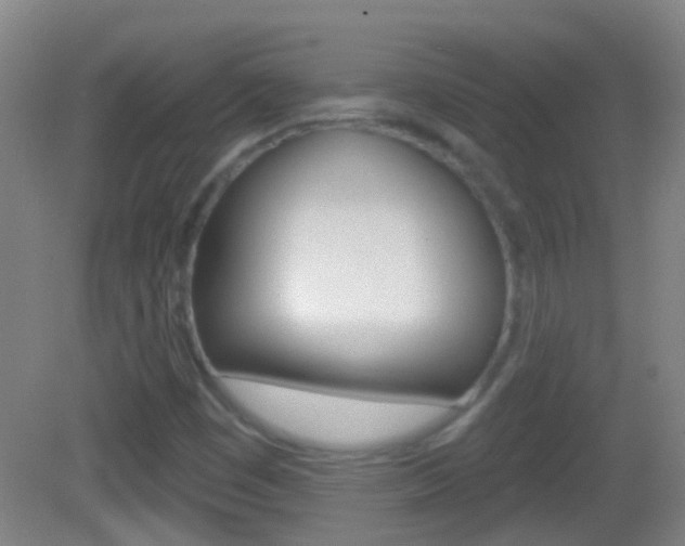 X0000083051449200702020958
