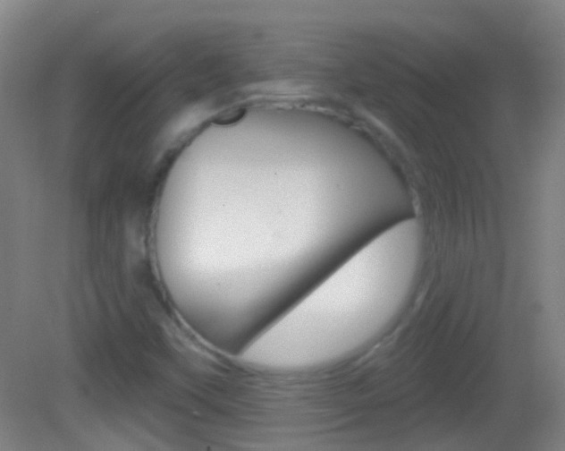 X0000083051451200702020958