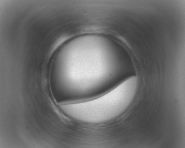 X0000083051458200702020958