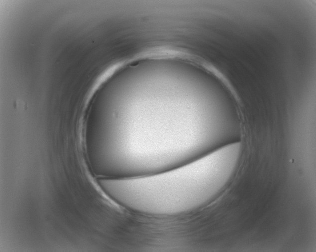 X0000083051477200702020957