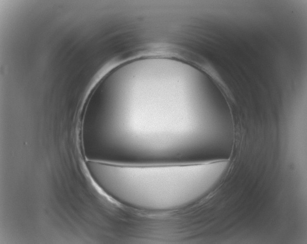X0000083051484200702020957
