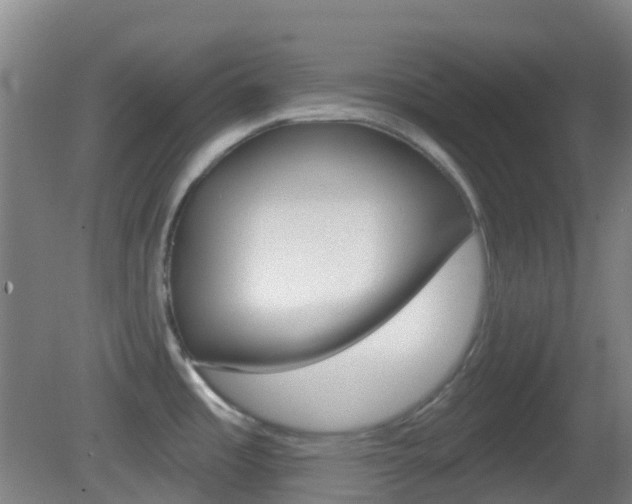 X0000083051485200702020957