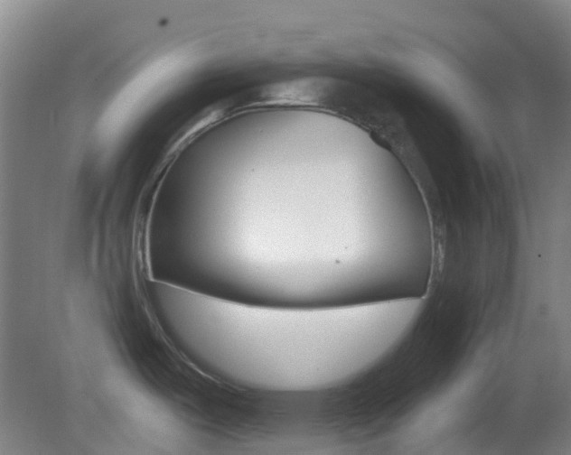 X0000083051487200702020957