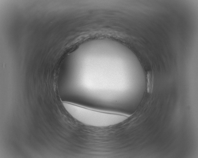 X0000083051491200702020956