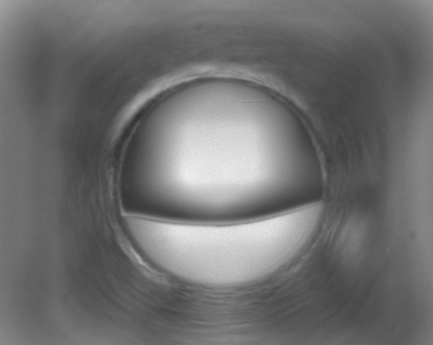 X0000083051503200702020956