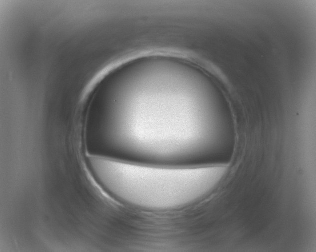 X0000083051504200702020956