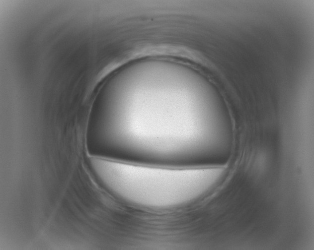 X0000083051505200702020956