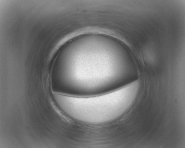 X0000083051507200702020957